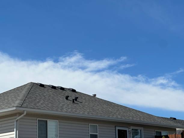 Best Emergency Roof Repair Services  in Island Lake, IL